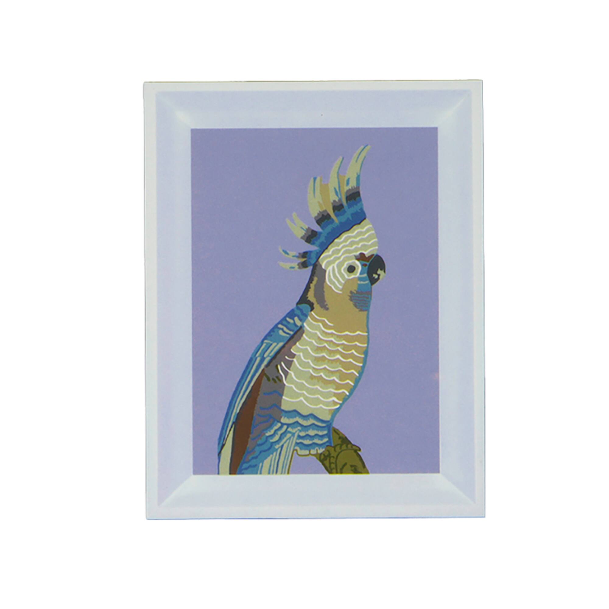 Jonathan Adler x Michaels 5" x 7" Cockatoo Paint-By-Number Framed Kit